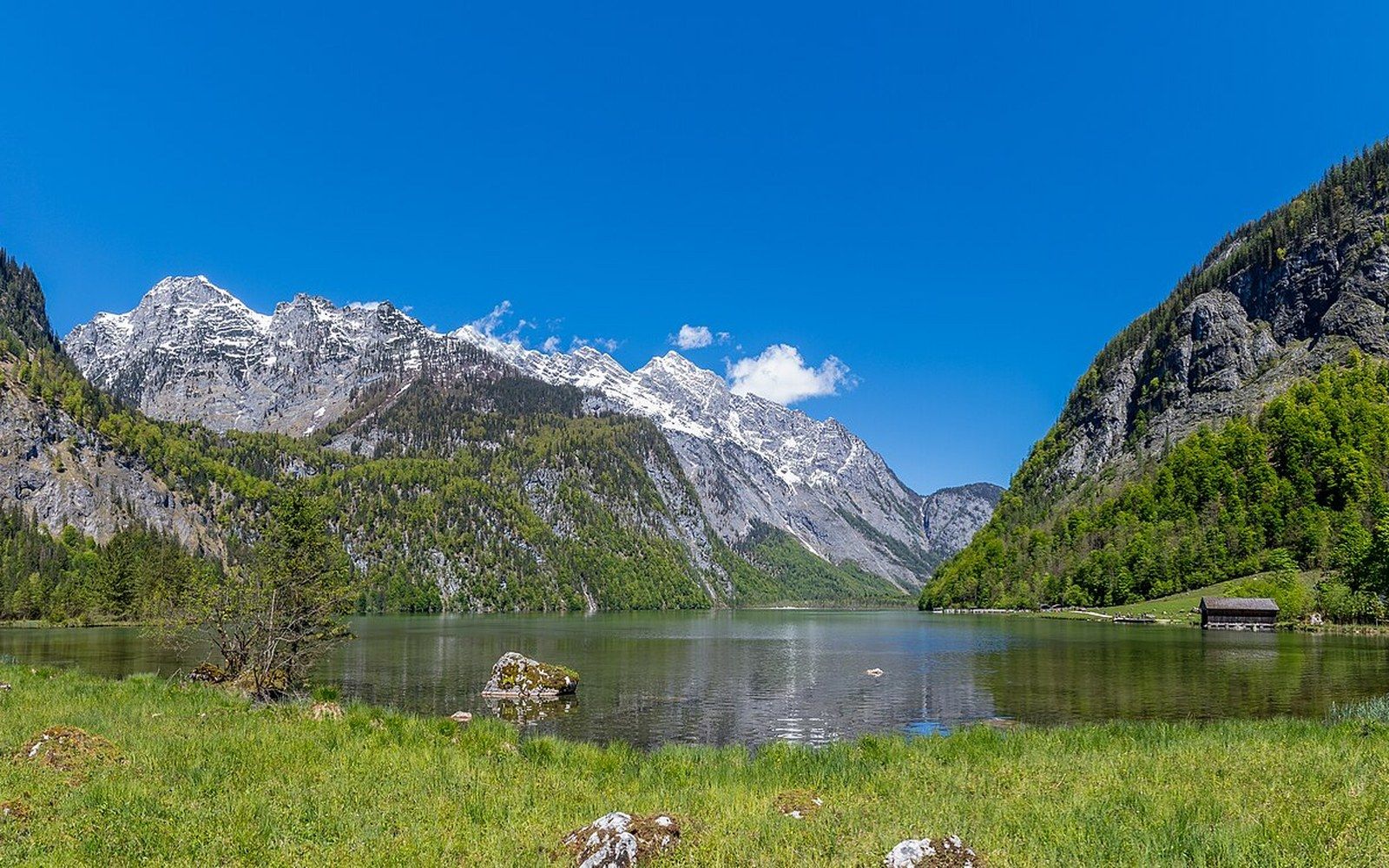 Snow-capped mountains rise above a calm alpine lake bordered by forest and green meadow